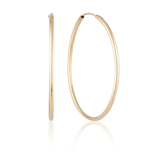 Elegant Gold Hoop Earrings 2