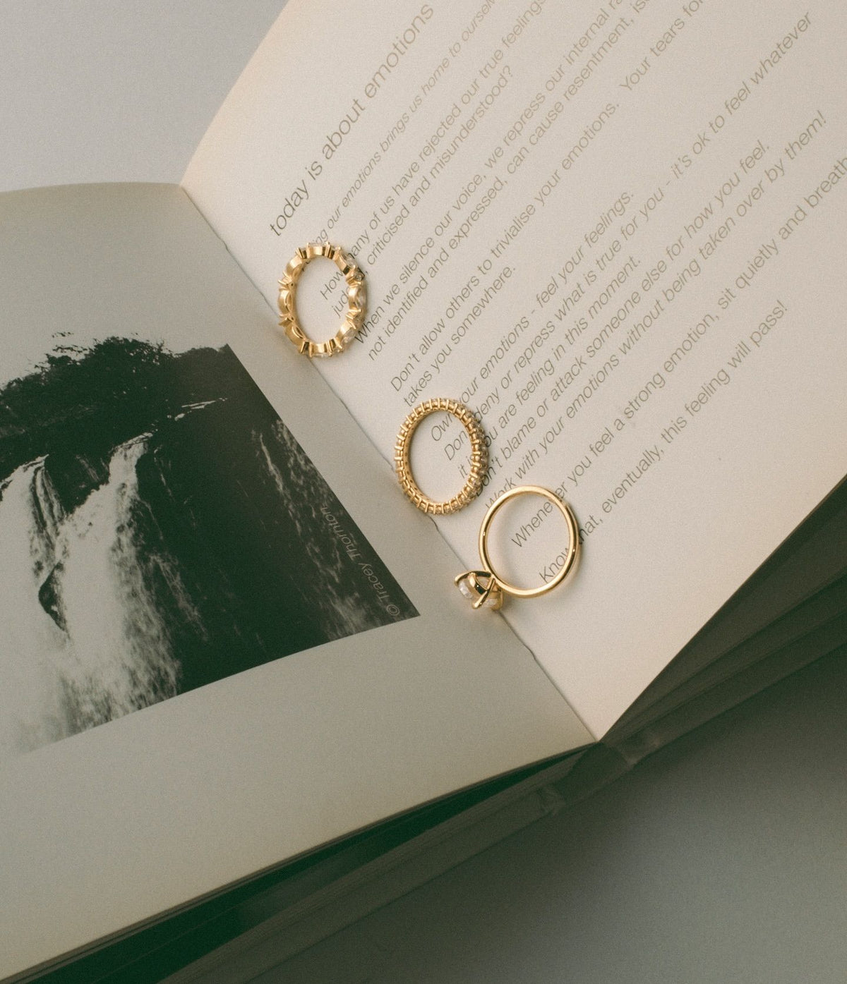 Signature Rings