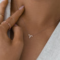 Load image into Gallery viewer, Radiant 0.20 Carat Round Lab-Grown Diamond Aries Charm Necklace
