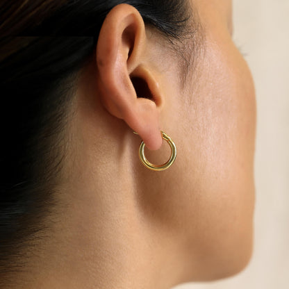 Timeless Gold Hoop Earrings 5