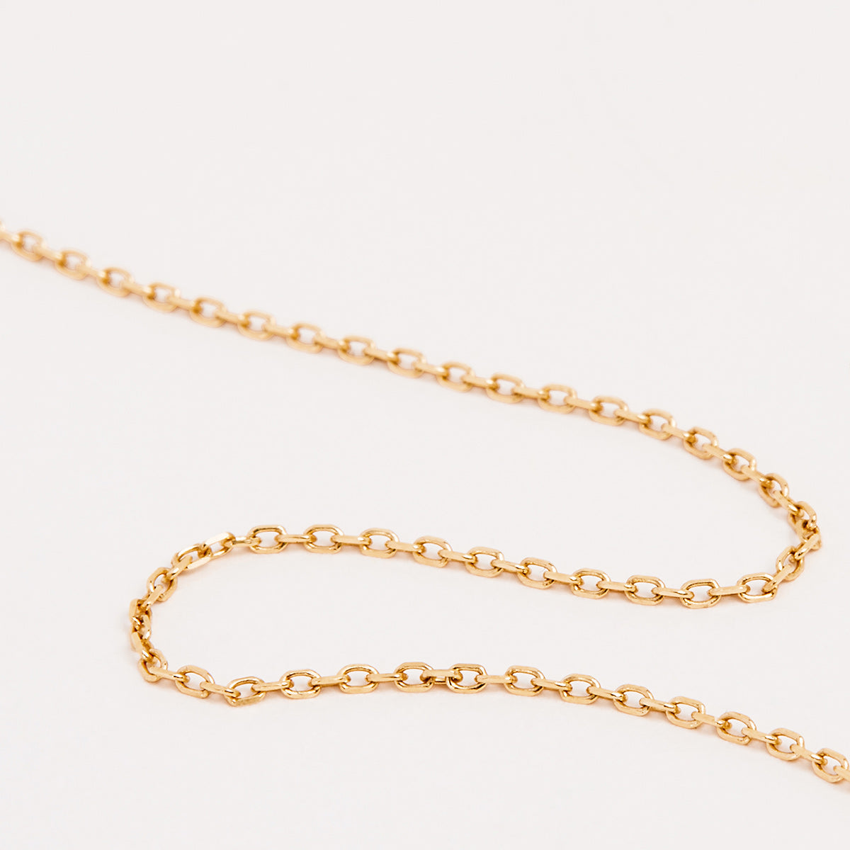 Signature Classic Chain Necklace, Gold or Silver