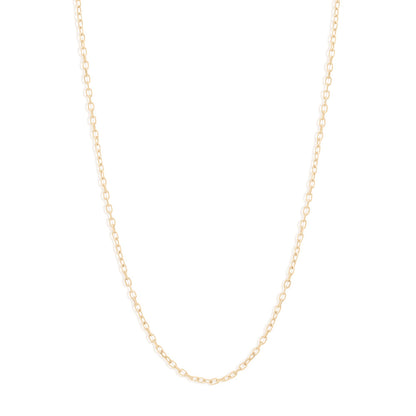 Signature Classic Chain Necklace, Gold or Silver 6