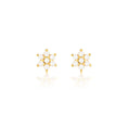 Load image into Gallery viewer, 0.10 TCW Radiant Star-Shaped Diamond Stud Earrings
