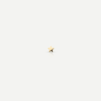 Delicate Blossom Petite Stud Earrings 7