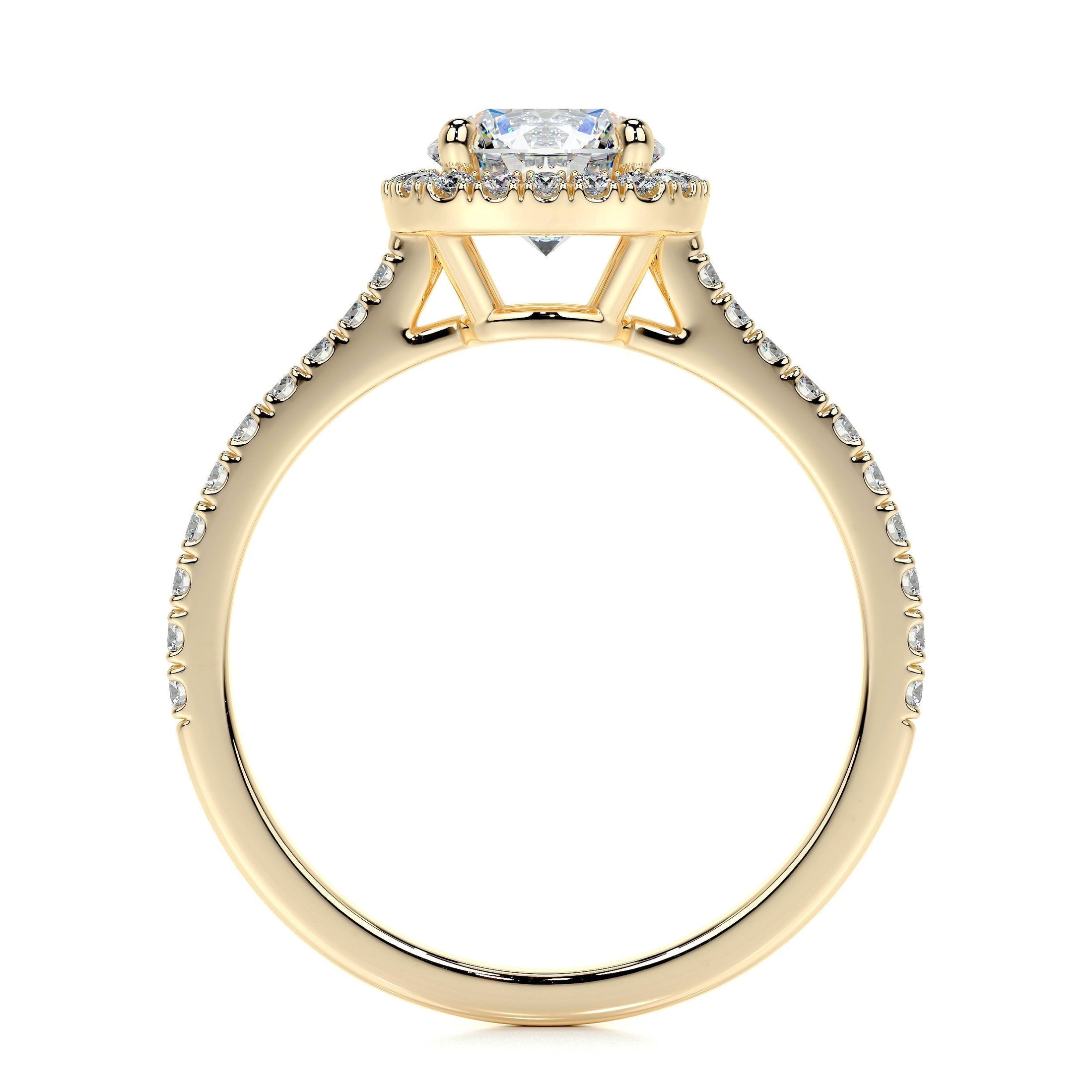 1.0 CT Round Lab Grown Diamond Halo Pave Engagement Ring