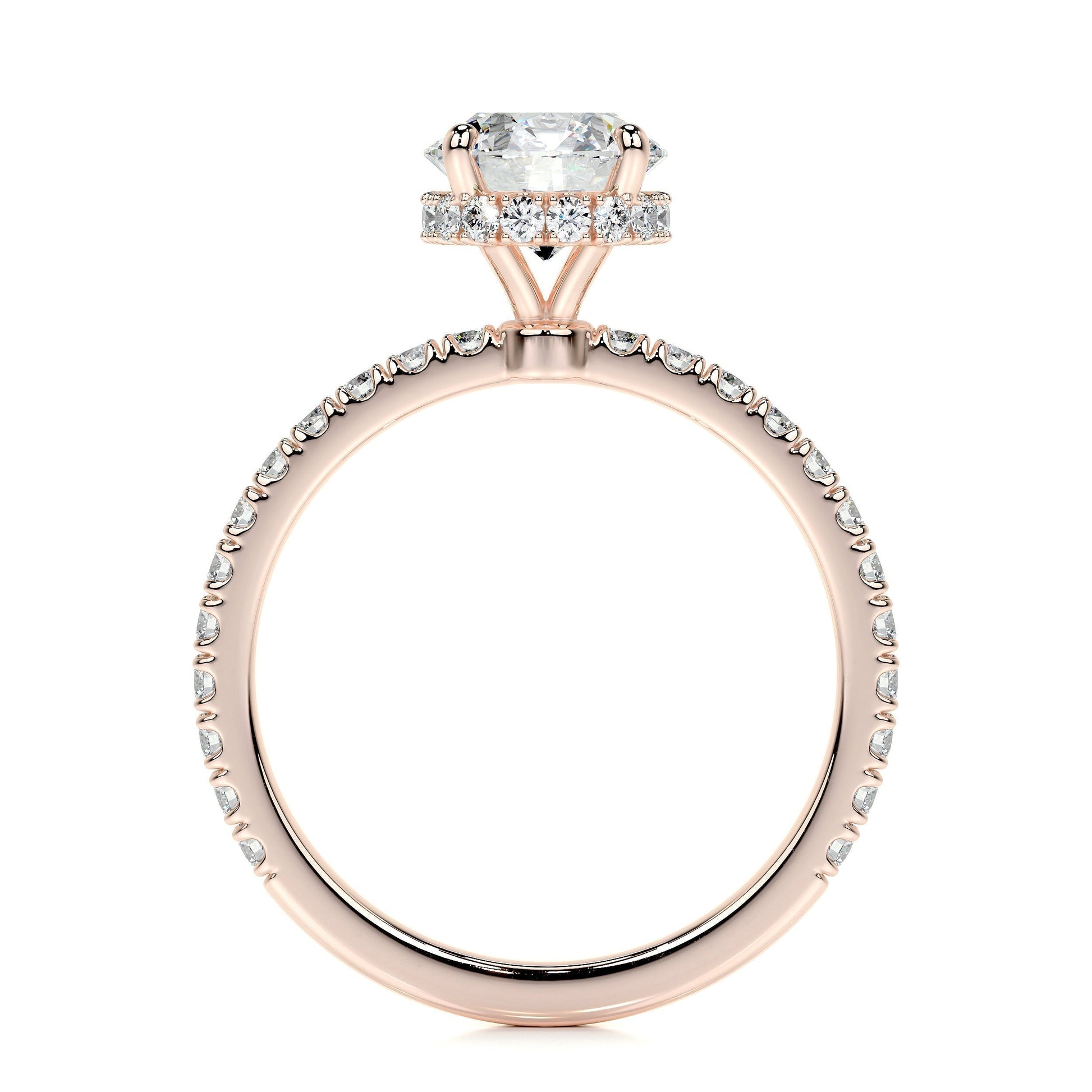 1.0 CT Round Hidden Halo CVD D/VS2 Diamond Engagement Ring 10