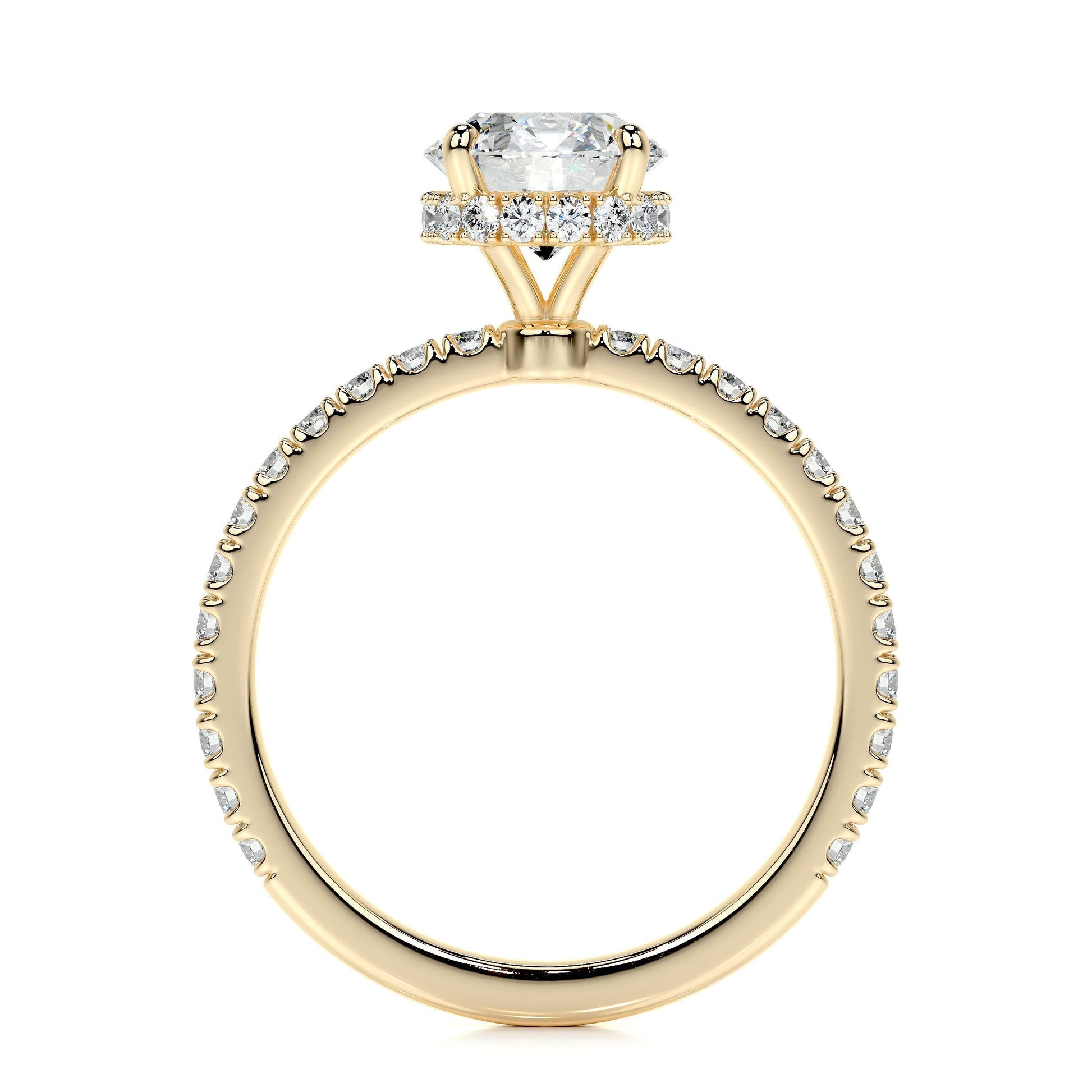 1.0 CT Round Hidden Halo CVD D/VS2 Diamond Engagement Ring 14