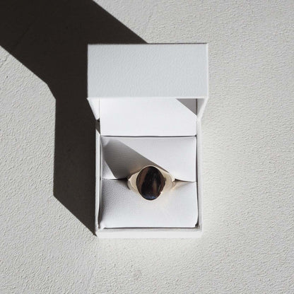 Elegant Oval Signet Ring in Polished Gold 1
