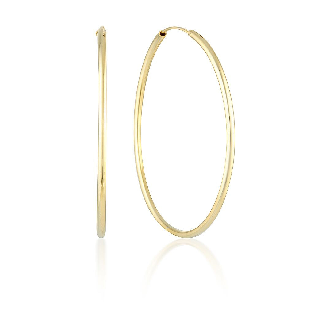 Elegant Gold Hoop Earrings 1