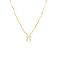 Load image into Gallery viewer, Pisces Emblem: 0.30 TCW Round Lab-Grown Diamond Charm Necklace
