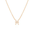 Load image into Gallery viewer, Pisces Emblem: 0.30 TCW Round Lab-Grown Diamond Charm Necklace
