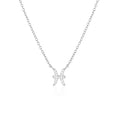 Load image into Gallery viewer, Pisces Emblem: 0.30 TCW Round Lab-Grown Diamond Charm Necklace
