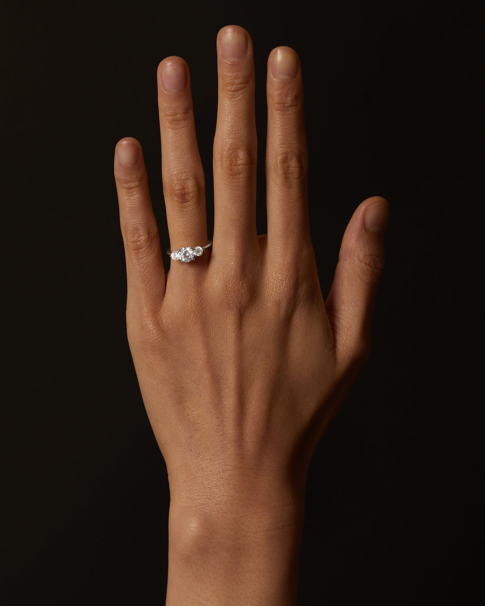 Eternal Elegance: 1.0 CT Round Lab-Grown Diamond Three-Stone Ring 4