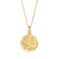 Load image into Gallery viewer, Golden Botanical 0.05 Carat Round Lab Grown Diamond Necklace
