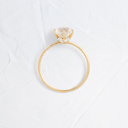 Solitaire with Hidden Stones-Round Lab Grown Diamond Engagement Ring