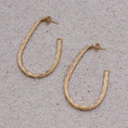 Load image into Gallery viewer, Elegant Gold Plated Twisted Hoop Earrings
