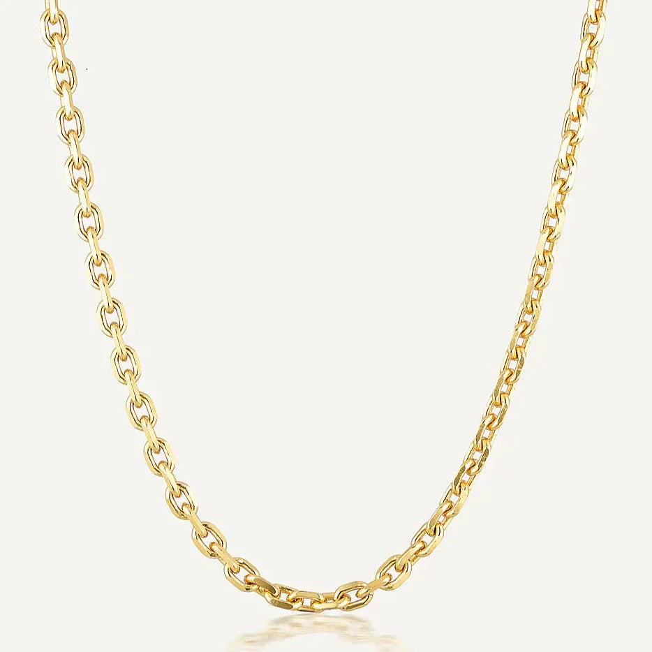 Elegant Gold Thick Long Chain Necklace