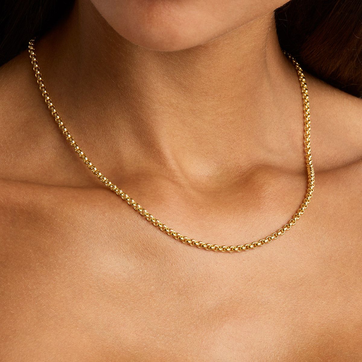 Golden Radiance Bold Belcher Chain Necklace 4