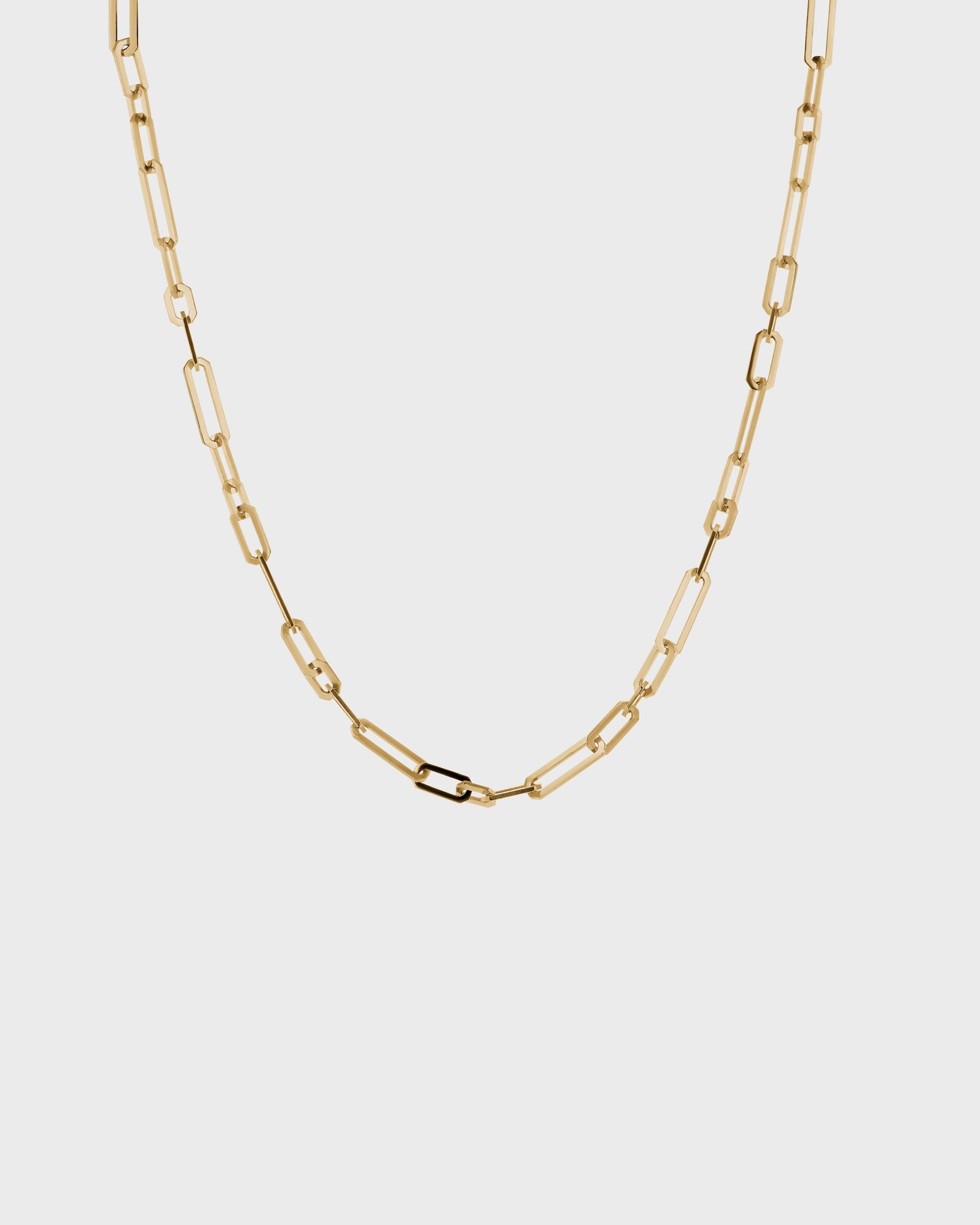 Long Clip Chain Necklace 1