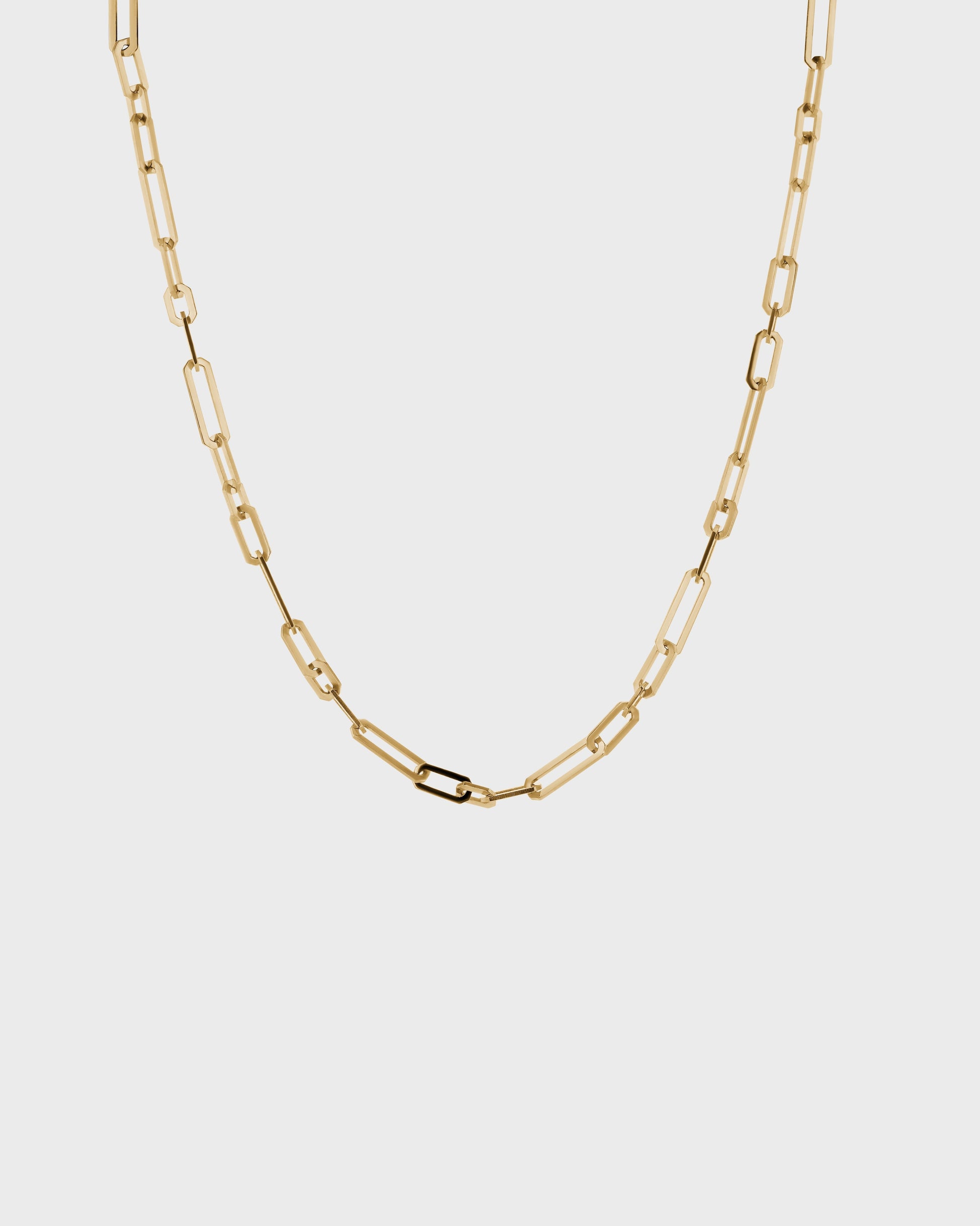 Long Clip Chain Necklace 1