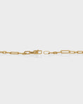 Load image into Gallery viewer, Long Clip Chain Necklace
