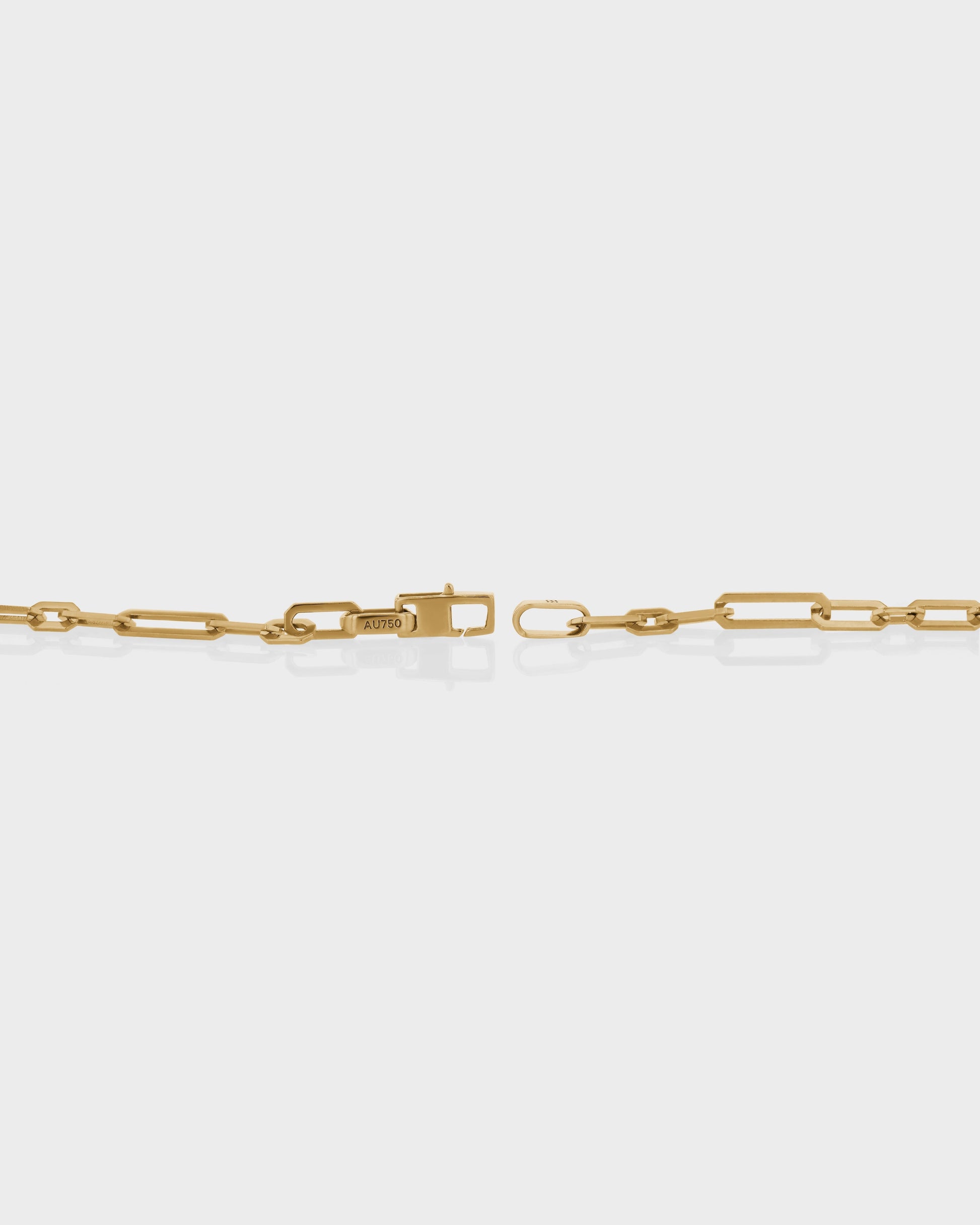 Long Clip Chain Necklace 2