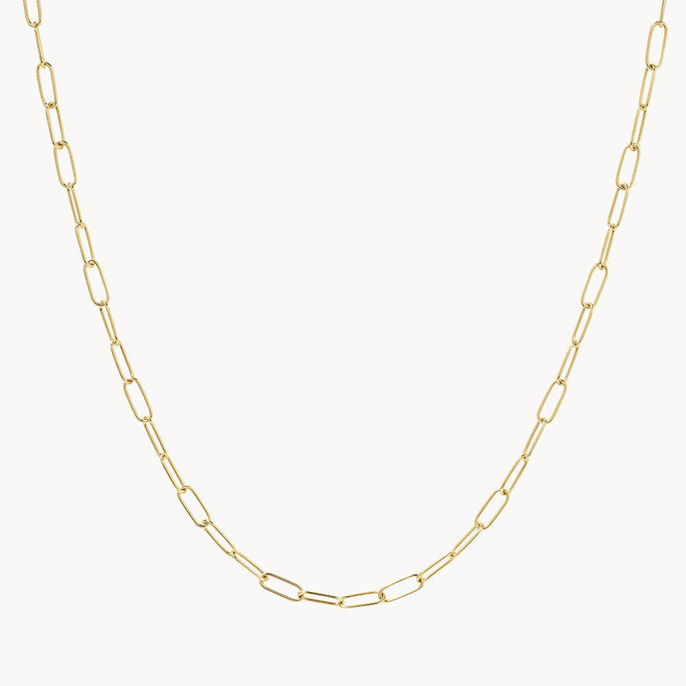Classic Paperclip Chain Necklace 1