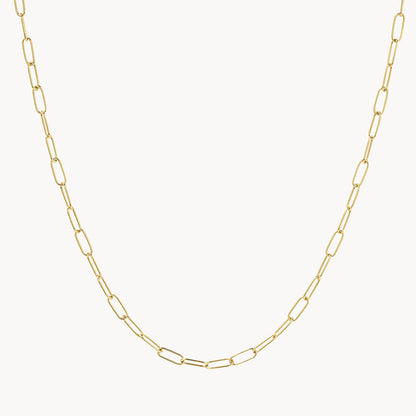 Classic Paperclip Chain Necklace 1