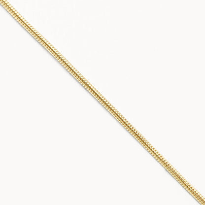 Elegant Gold Curb Chain Necklaces 3