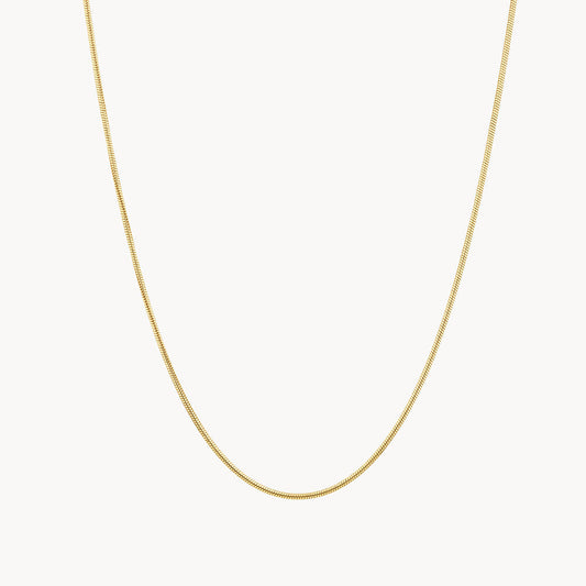 Elegant Gold Curb Chain Necklaces