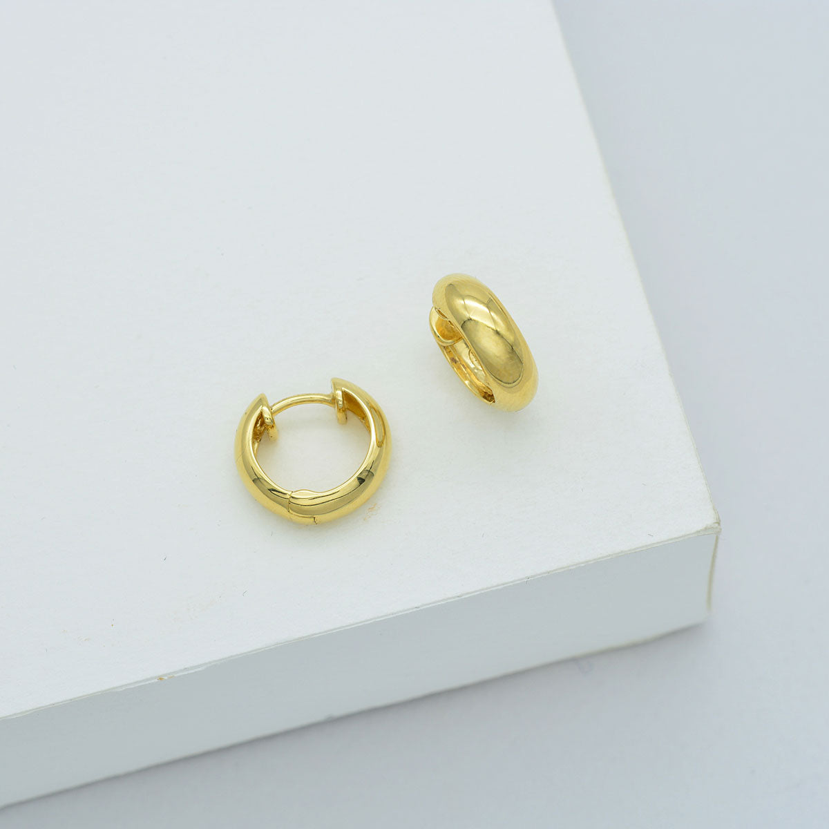 Elegant Gold Classic Hoop Earrings