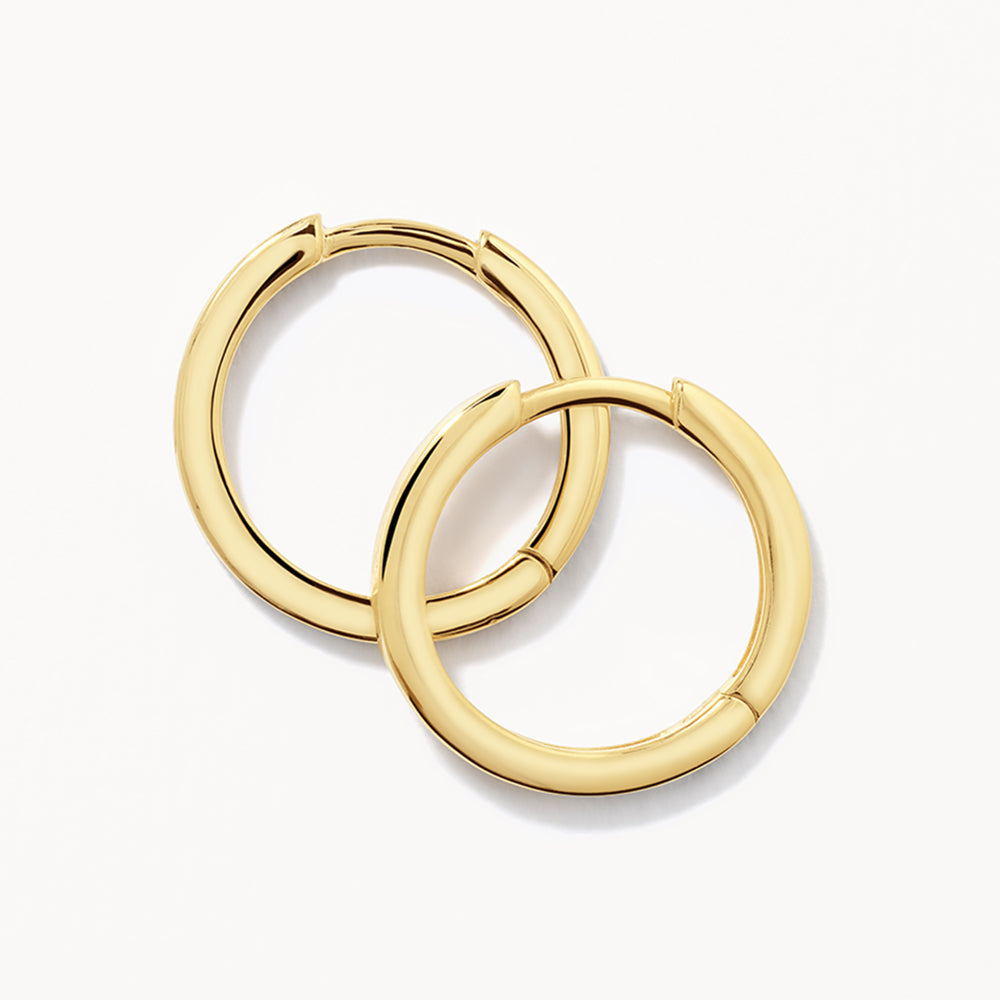 Elegant Gold Hoop Earrings 1