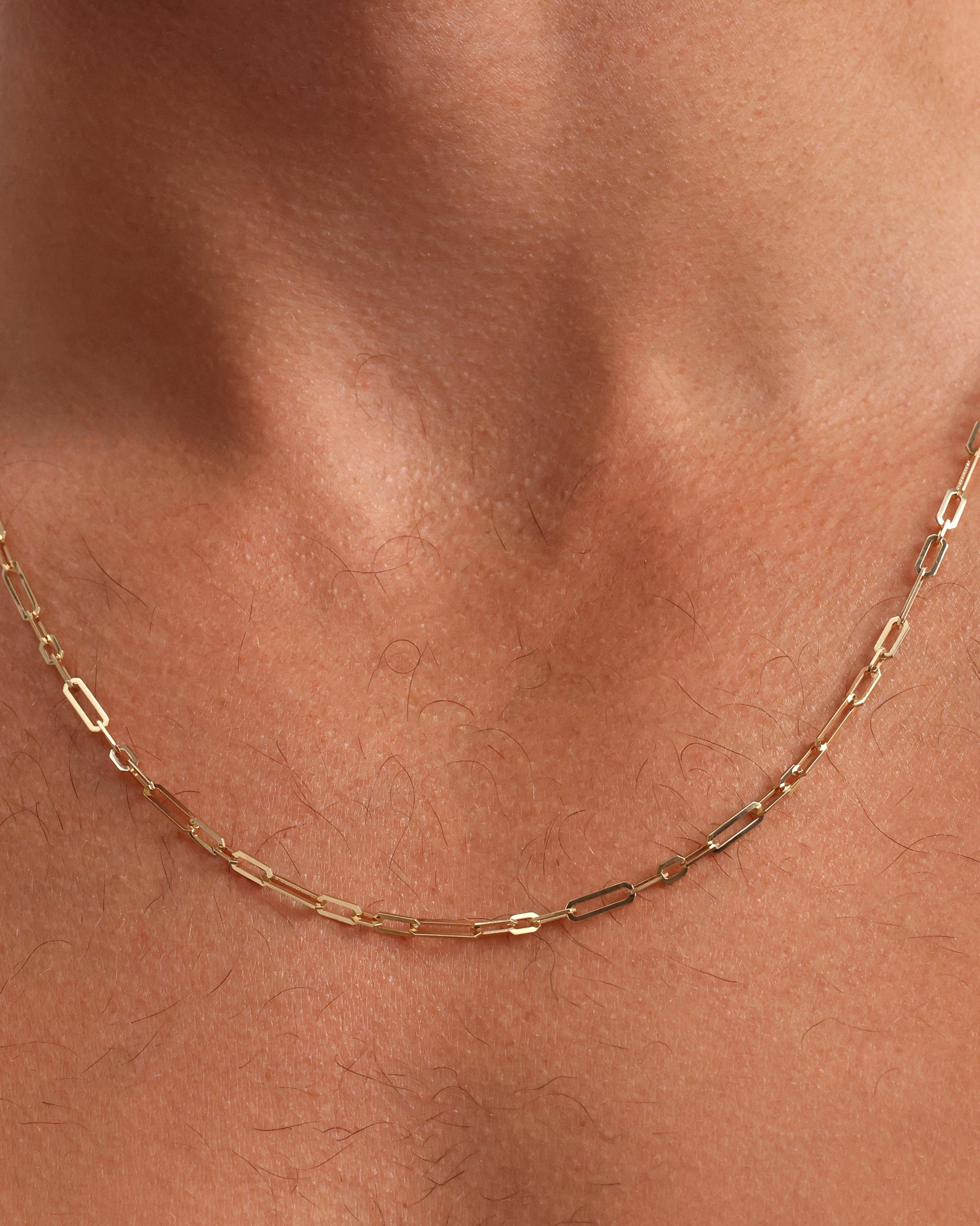 Long Clip Chain Necklace 5