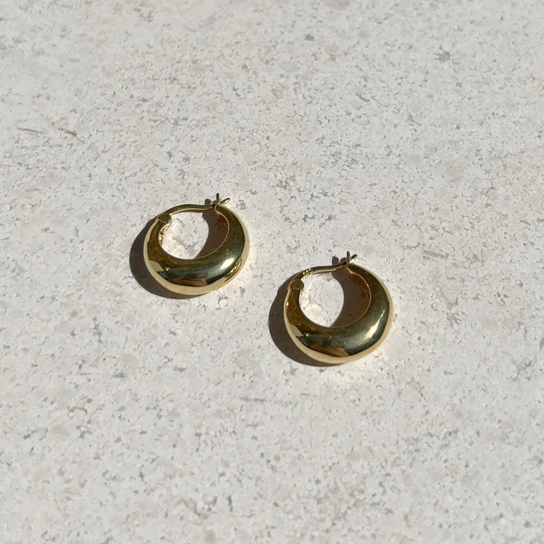 Classic Round Hoop Earrings