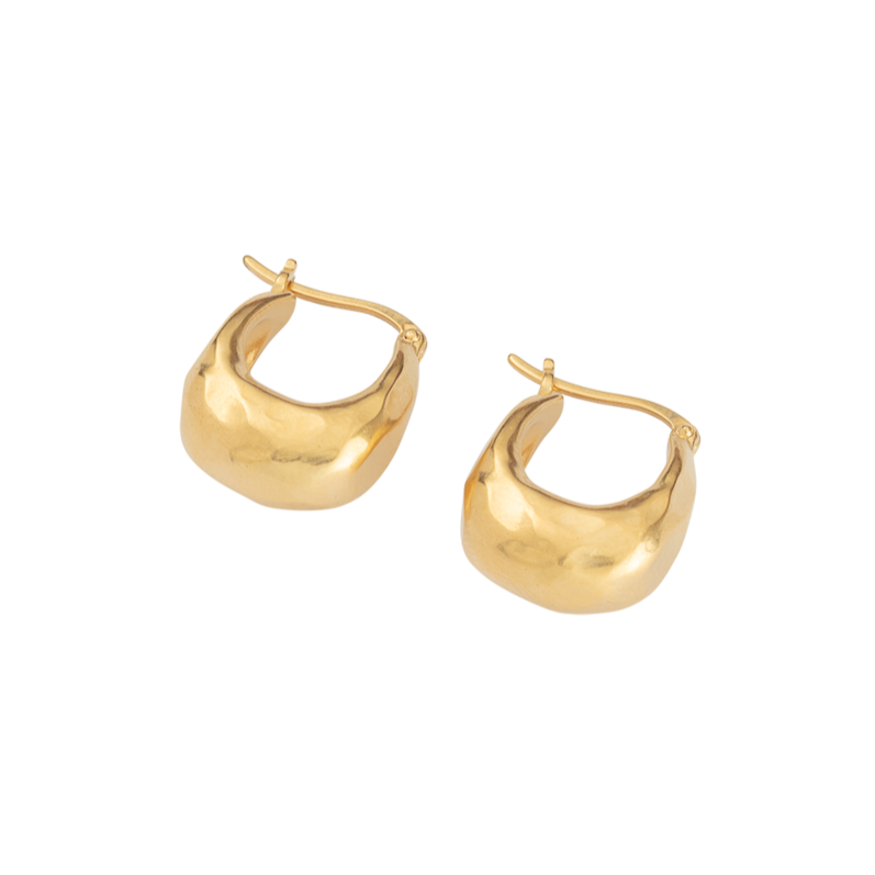 Golden Essence Petite Hoop Earrings