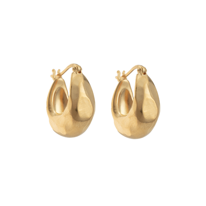 Golden Essence Petite Hoop Earrings 1