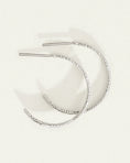 Load image into Gallery viewer, Silver Agave Hoop Earrings
