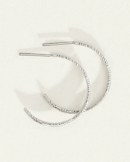 Silver Agave Hoop Earrings 3